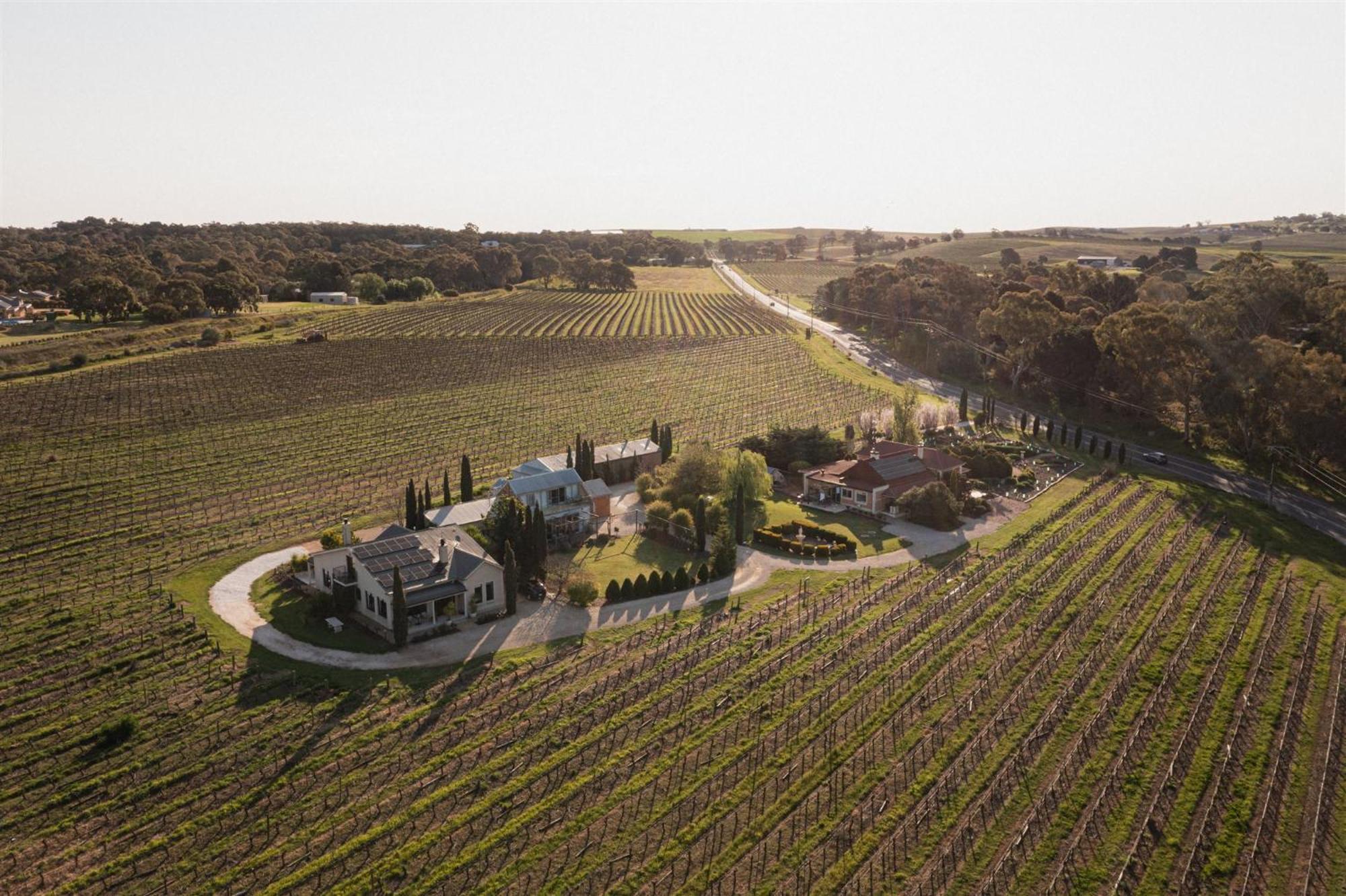 Villa Barossa Shiraz Estate Lyndoch Exterior foto