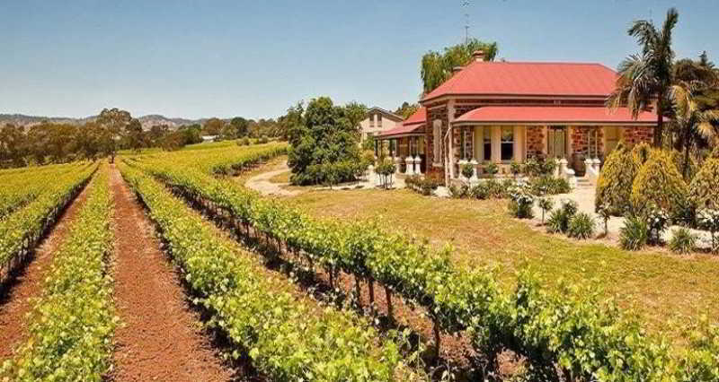 Villa Barossa Shiraz Estate Lyndoch Exterior foto