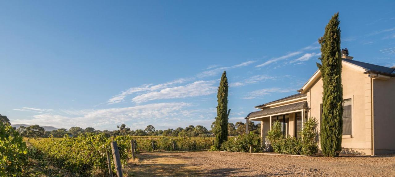 Villa Barossa Shiraz Estate Lyndoch Exterior foto